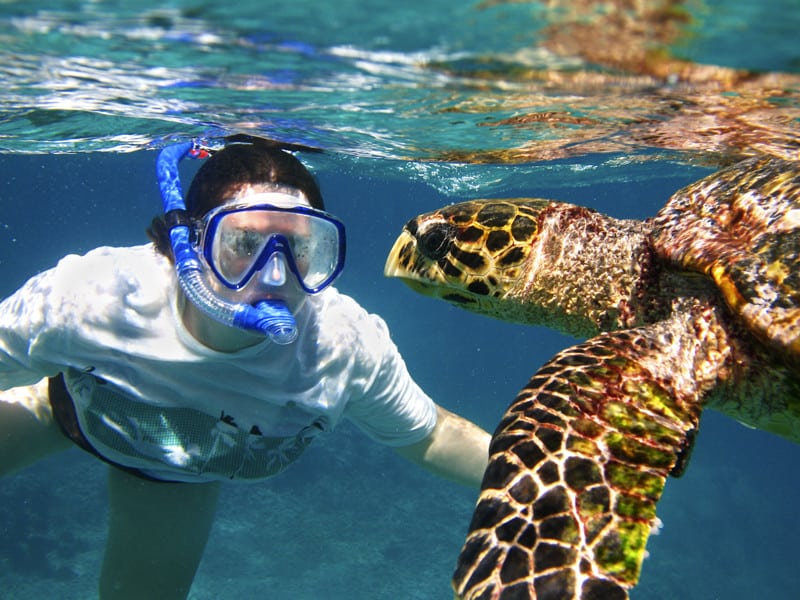 Relación entre tortugas marinas y seres humanos.